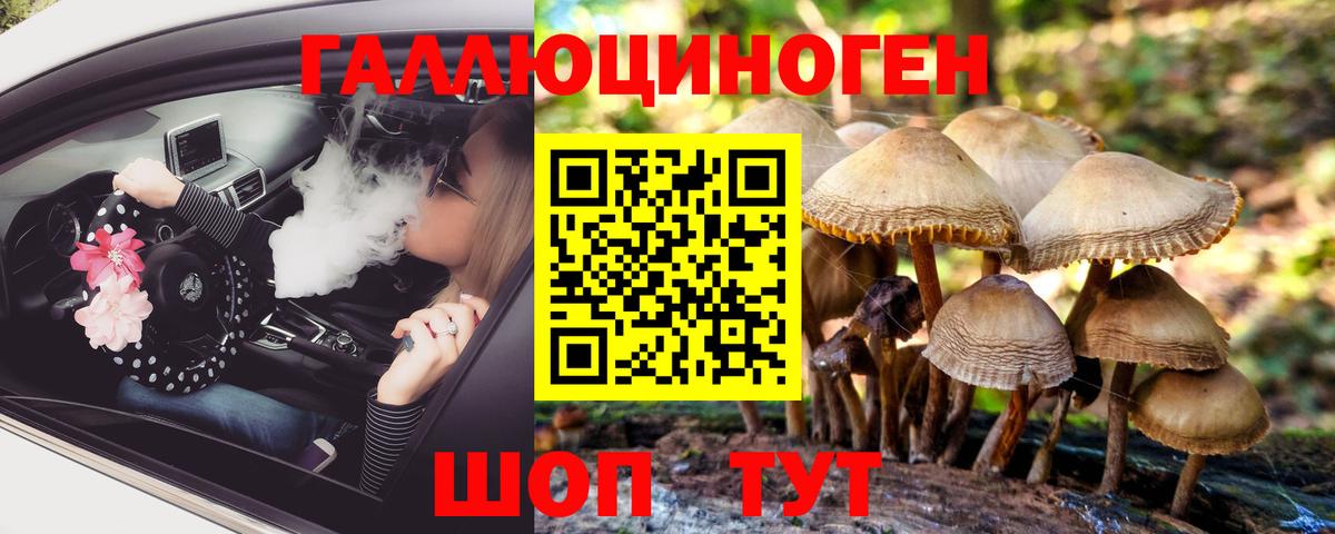 Галлюциногенные грибы мухоморы Бор