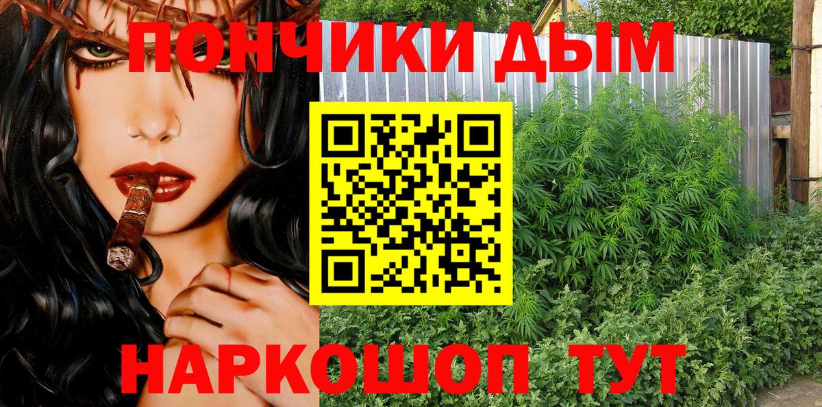 Бор  Шишки марихуана гибрид  Конопля индика  Вход с VPN  Бошки Шишки план  Канабис White Widow 